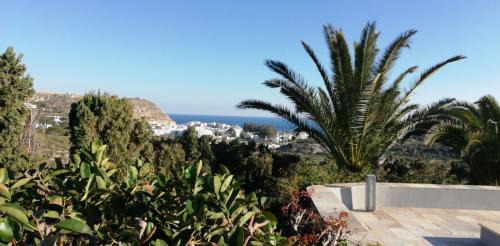 Agua Amarga Villa | Villa Teresa