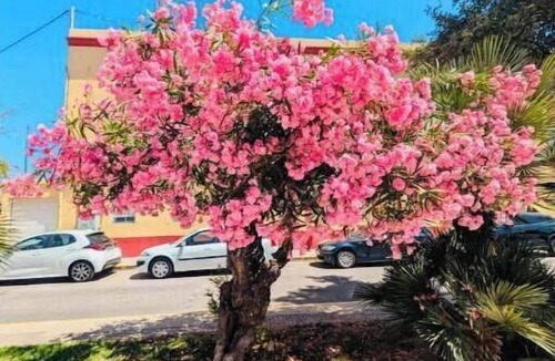 Sagunto House | 1 minute from the beach, new house with a patio