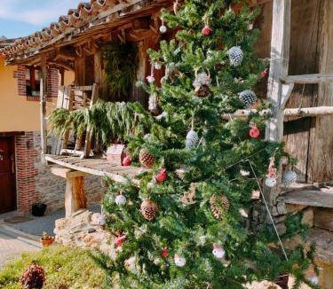 Santianes de Ola Apartment | 110 m² Apartment ∙ 3 bedrooms ∙ 8 guests