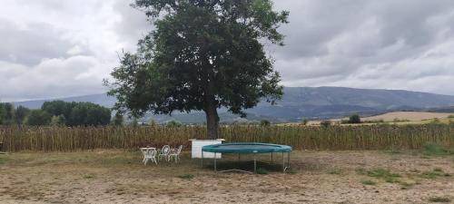 Medina De Pomar House | 12 m² House ∙ 4 bedrooms ∙ 12 guests