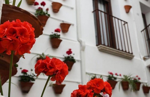 Hinojosa del Duque House | 14 m² House ∙ 4 guests