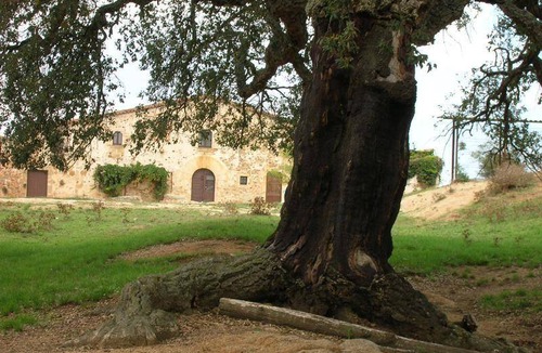 Cassa de la Selva House | 160 m² House ∙ 6 bedrooms ∙ 11 guests