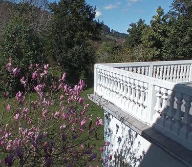 Pontedeume Hotel | 18 m² Hotel ∙ 2 guests