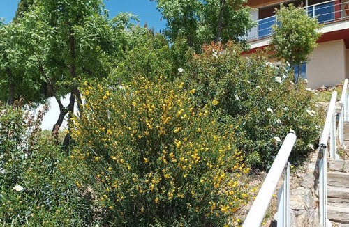 Cercedilla House | 240 m² House ∙ 3 bedrooms ∙ 6 guests