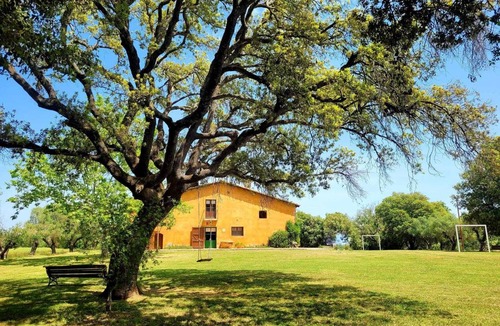 Queixas House | 280 m² House ∙ 9 bedrooms ∙ 30 guests