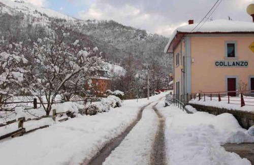 Collanzo Apartment | 50 m² Apartment ∙ 1 bedroom ∙ 4 guests
