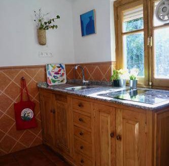 Sosas de Laciana Apartment | 50 m² Apartment ∙ 1 bedroom ∙ 4 guests
