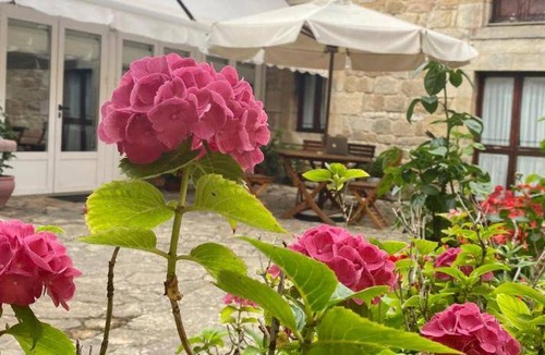 Villamonico Bed & Breakfast | 50 m² Bed and breakfast ∙ 5 guests