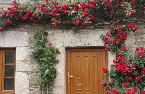 Sarria Bed & Breakfast | 60 m² Bed and breakfast ∙ 9 guests