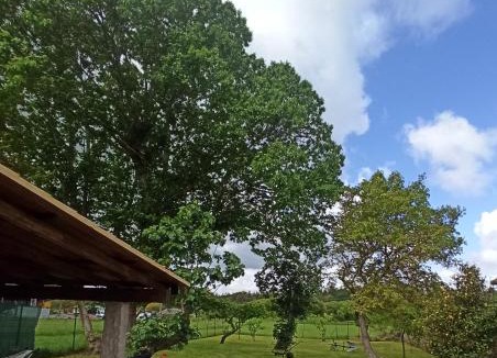 Zas Apartment | A casa do campo