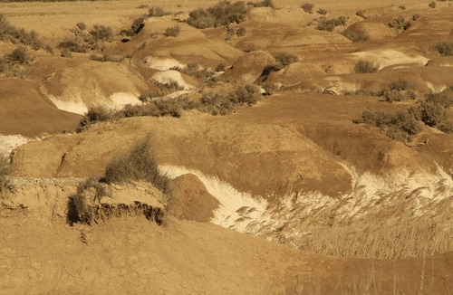 Arguedas Apartment | A family nest, a step Desert Bardenas
