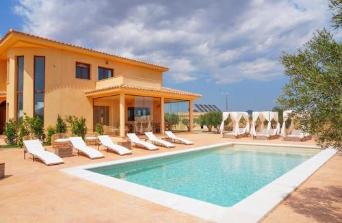 Almansa House | Agroturismo Casa Saladarejo de los Olivos