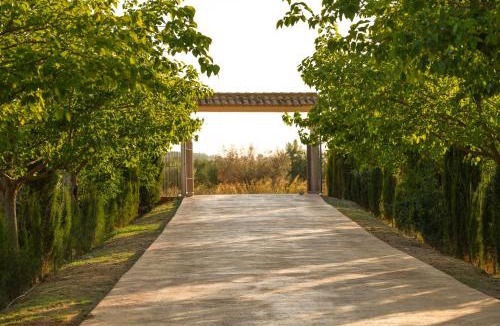 Almansa House | Agroturismo Casa Saladarejo de los Olivos