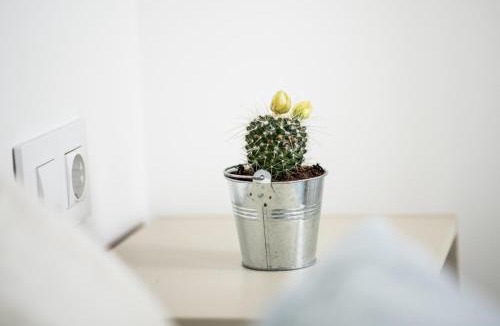 As Pontes De Garcia Rodriguez Apartment | Aida's Apartments