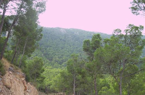 Huerta de Arriba Hostel | Aljibe de Monastrell