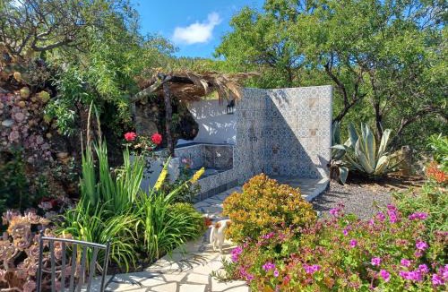 Las Tricias House | Alma