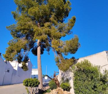 Santo Tome Apartment | Alojamiento Santo Tomé