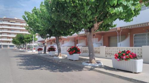 Peniscola Apartment | Alpen1 Voramar