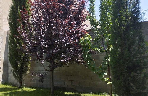 Villafranca de Ebro House | AN IDEAL PLACE TO DISCONNECT AND ENJOY WITH YOUR FAMILY AND FRIENDS!