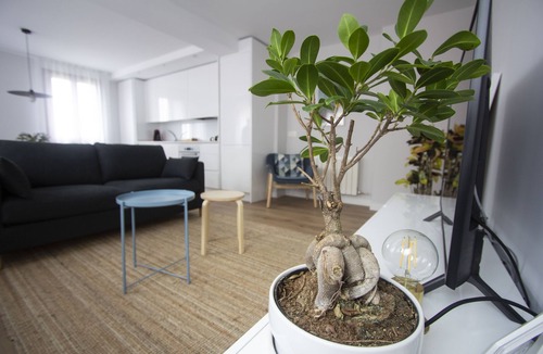 Burgos Apartment | Anki - A Cuatro Pasos de la Catedral