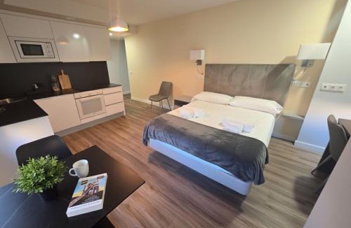 Aranda de Duero Apartment | Apartahotel Aranda Flex Living