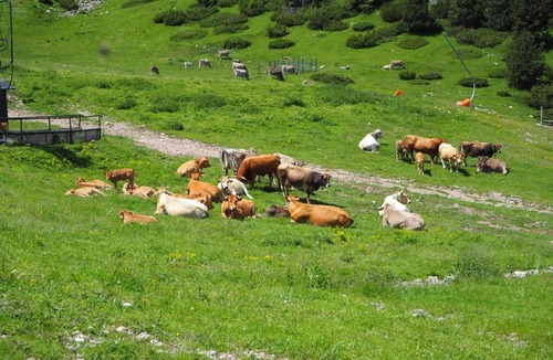 La Molina Apartment | Apartament a La Molina, grans vistes, llar de foc