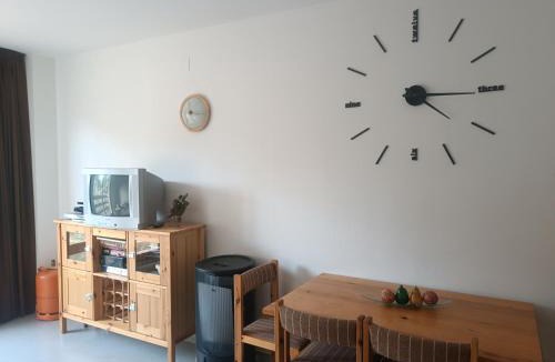 La Coma I la Pedra Apartment | Apartamento a pie de pistas Port del Comte