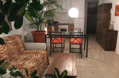 Tazacorte Apartment | Apartamento Atico Guanchita