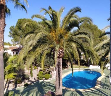 Pedreguer Apartment | Apartamento Buganvilla Pool