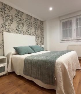 Cangas de Onis Apartment | Apartamento Fana