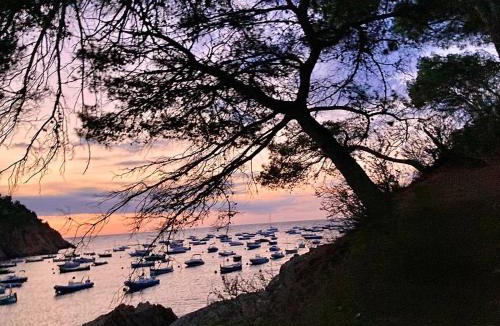 Palafrugell Apartment | Apartamento palafrugell parking y wifi gratis