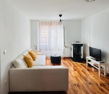 Cangas de Narcea Apartment | Apartamento Silvela Dos amigos
