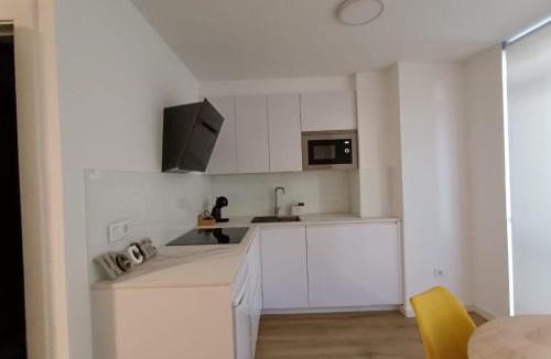 Redondela Apartment | Apartamentos A Pintureira 3