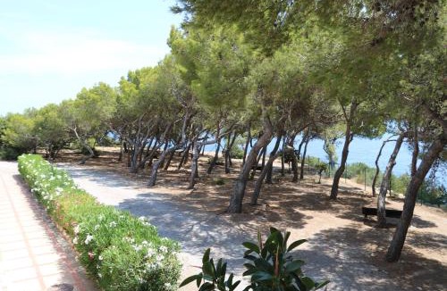 Cala Llenya Resort | Apartamentos Club Cala Azul