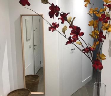 Valladolid City Centre Apartment | Apartamentos DUKE