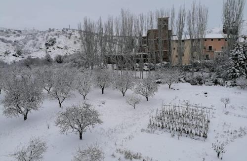 Castejon de las Armas Apartment | Apartamentos Rurales Camino del Cid