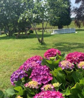 Romillo Apartment | Apartamentos La Quintana de Romillo