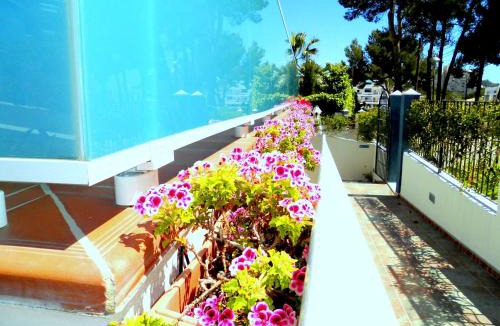 Peguera Apartment | Apartamentos Petit Blau