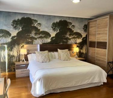 Aranda de Duero Apartment | Apartamentos San Antonio