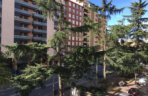 Barrio de Santo Domingo y San Martin Apartment | Apartamentos turísticos río Gallego Huesca 2