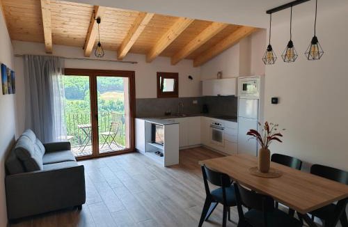 Cires Apartment | Apartamentos turismo rural Casa Ensalasa Castarné