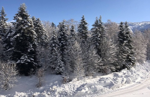 Montferrier Apartment | Apartment 200 m from ski slopes Station Des Monts D'Olmes, Montferier