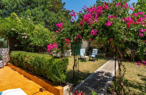 Puerto de Soller Apartment | Apartment Bougainvillea