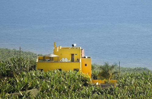 Tazacorte Apartment | Apartment Gamba - Finca La Cruz