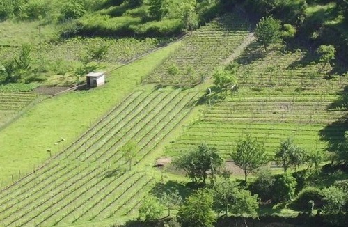 Limes Cottage | Ardaliz Rural Apartments for 2 people