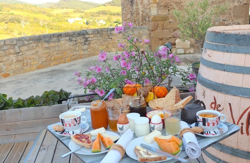 Villelongue-d'Aude Bed & Breakfast | At Château de Villelongue, Troglodyte, Aude, Cathar Country, pets are welcome.