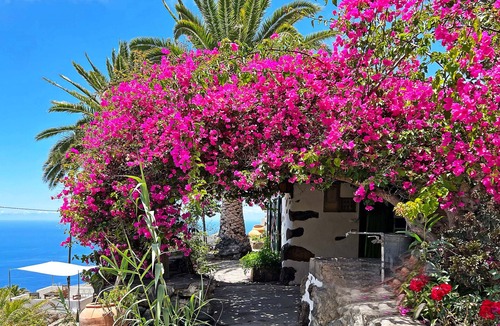 El Jesus Ski Chalet | Authentic Canarian house located in the picturesque surroundings of Tijarafe