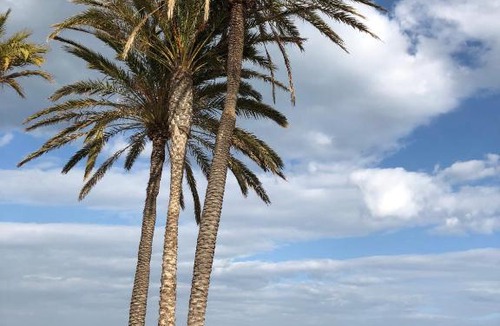 El Cabanyal Apartment | Beach-Arenas