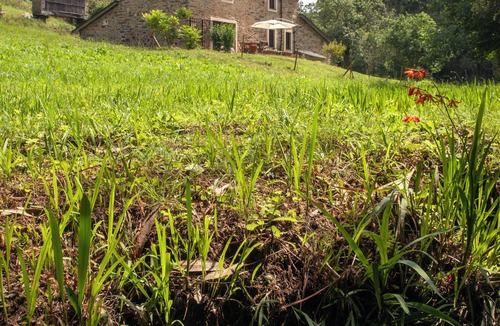 Ortigueira House | Beautiful renovated watermill minutes from the beach. Pets welcome!