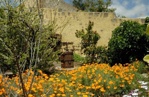 El Rincon Cottage | Bougainvillea Cottage - Tenerife Self Catering - La Bodega (king bed) with pool